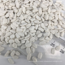 Cheap price calcium carbonate masterbatch Producer for Blowing, Injection or Extrusion